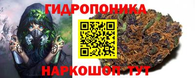 СК Пушкино